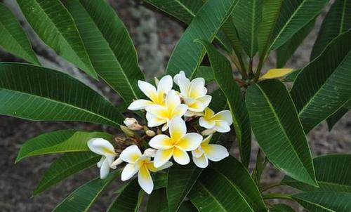 一生中绝对不能做的两件事