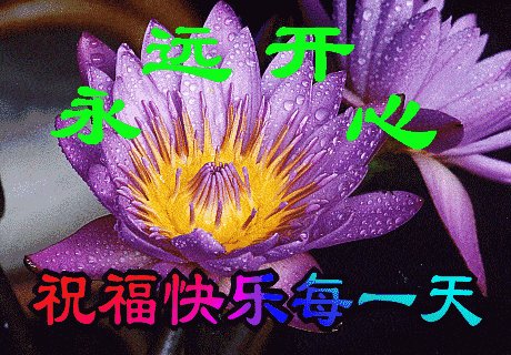 祝福远方的朋友