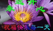 给远方朋友的祝福