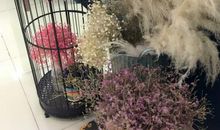 《为何家会伤人》读后感