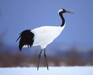 与起重机有关的成语