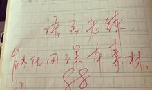 初中生作文评语