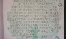 描写荷花的好词好句好段