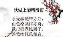 望湖楼醉书的诗意