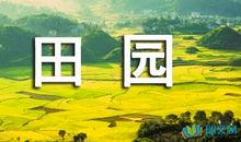 田园乐的诗意