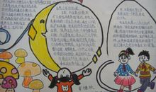 只有一个地球读后感300字