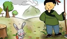 关于兔的成语