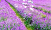 伤痕累累的个性签名