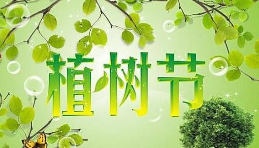 小学植树节活动计划
