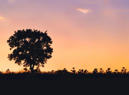 你不喜欢晚装的人，一辈子只能平庸