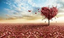 励志故事：有了梦想你就去做