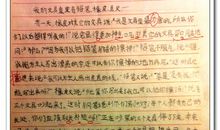 文具大逃亡作文