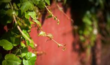 值得你去花时间体会的5条人生感悟