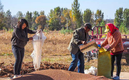 张向东：一直朝西