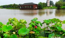 感受乡村的句子