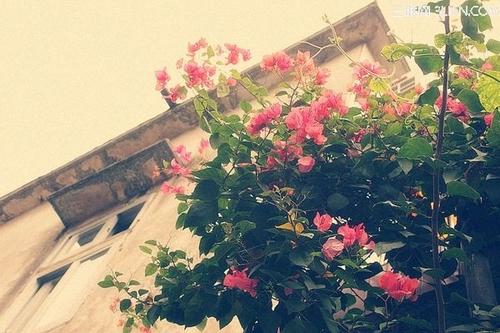 从三件事来看一个人是否值得你的深厚友谊