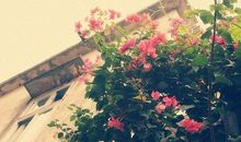 从三件事去看清一个人到底值不值得你去深交