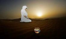 就问你八个问题，让你马上变清醒