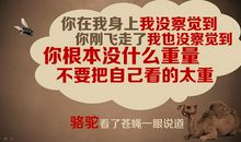 哲理故事：放弃也是一种快乐