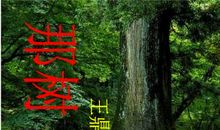 王鼎钧：那树