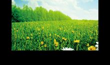 节能降耗宣传标语