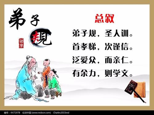 读了300个单词后，宠物家庭的感受