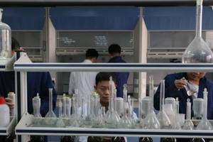 向雷锋演讲学习