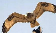 王雪红：要成功，就得做最难的事