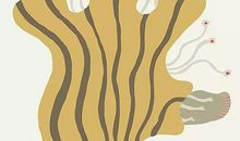 平凡不可怕，最怕你过着平庸的生活还觉得理所当然