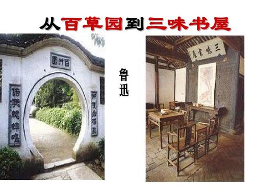 从百草园到三围书店的主要内容