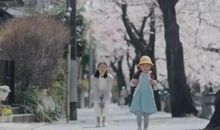 人总要学会自己长大