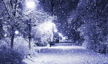 感慨下雪的句子