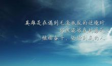 感悟生活经典名言语句