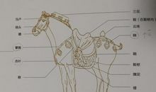 跟马有关的成语