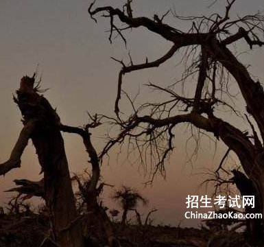 一句话如何遭受风霜