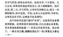 养花读后感300字