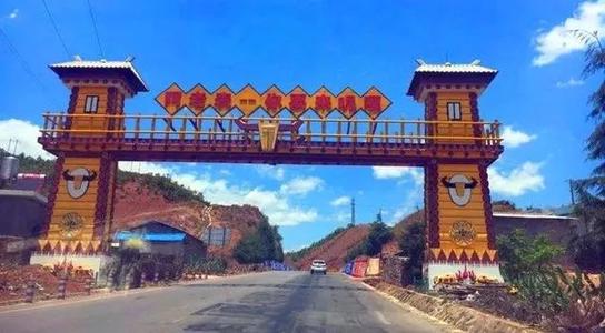 于大夫：马the丹花开的时候