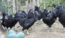 只有1%的人才能领悟的秘密法则