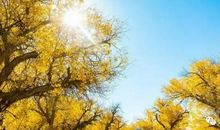 郁达夫：立秋之夜