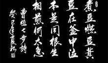 反七步诗的诗意