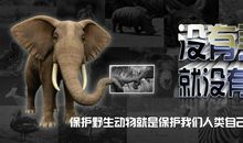 爱护动物的公益广告词