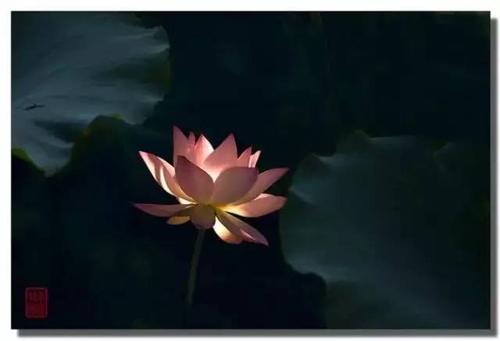 当人们在中年达到16岁时,我也会在阅读后醒来