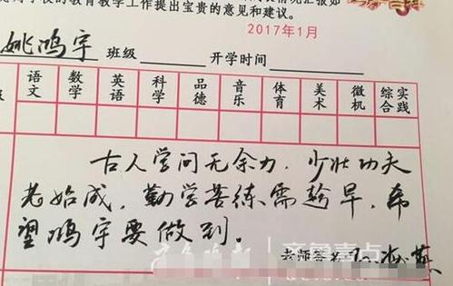 家长对小学生行为的评论
