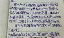 五年级作文：下雪了