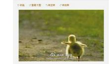 耶鲁大学励志语录