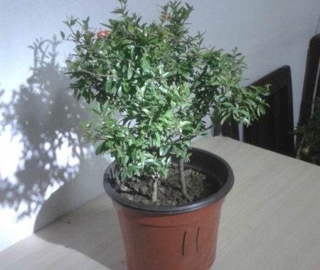 用一句话对自己说