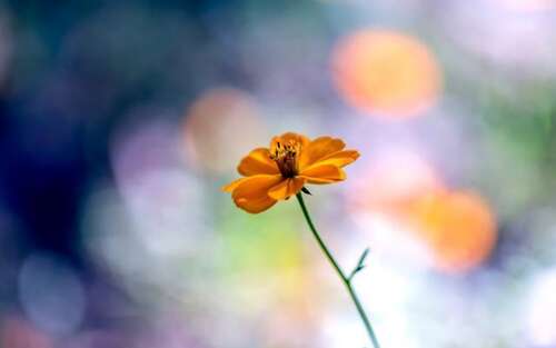 更好生活的七个特征