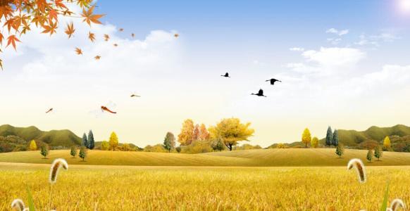 一个很好的句子描述秋天的收获