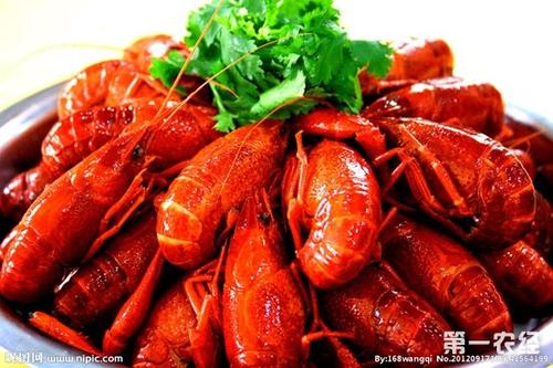 张贤亮：故乡之旅