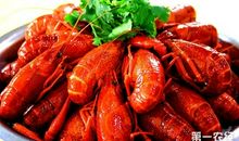 张贤亮：故乡行